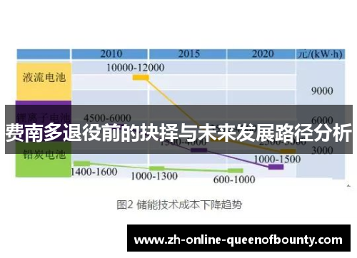 费南多退役前的抉择与未来发展路径分析 费南多退役前的抉择与未来发展路径分析