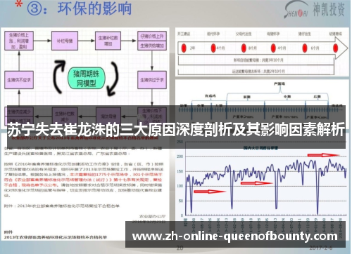 苏宁失去崔龙洙的三大原因深度剖析及其影响因素解析