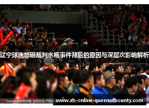 辽宁球迷怒砸裁判水瓶事件背后的原因与深层次影响解析