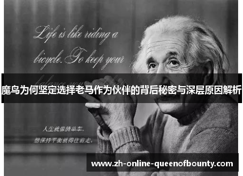 魔鸟为何坚定选择老马作为伙伴的背后秘密与深层原因解析 魔鸟为何坚定选择老马作为伙伴的背后秘密与深层原因解析